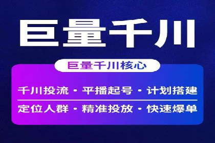 某电商平台的SEM策略与效果展示